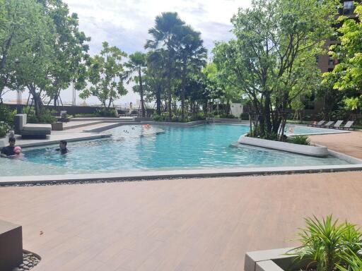 Outdoor swimming pool with surrounding greenery