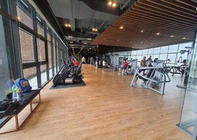 Modern gym with various exercise equipment and people working out