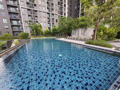 Swimming pool area with lounge chairs and surrounding greenery