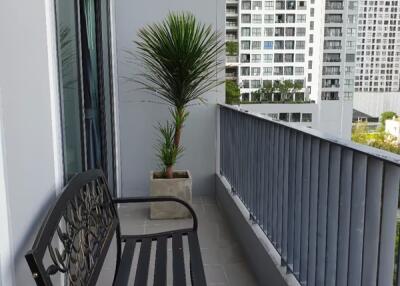 Condo for Sale, Rent at IDEO O2 Bangna