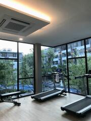 Arise Condo At Mahidol - 1 Bed Condo for Rent, Sale. - ARIS16714