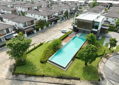 House for Rent at Belive (San Kamphaeng)