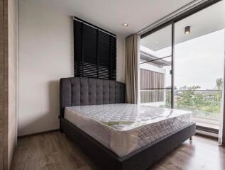 D-50 Private Apartment - 2 Bed Condo for Rent *D50P11814