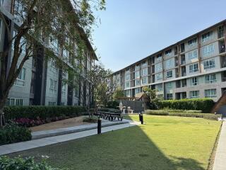 Condo for Rent at DCondo Campus Resort