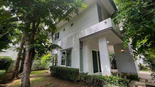 3 Bedroom House for Sale in Nong Chom, San Sai. - LAND16697