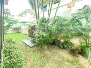 House for Rent at Lanna Pinery Home