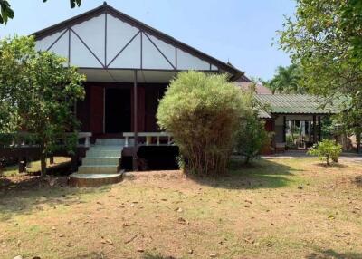 House for Rent in Nong Phueng, Saraphi.