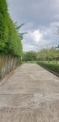 House for Sale in Yang Noeng, Saraphi.