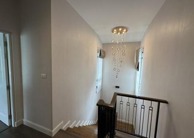 Modern staircase with contemporary chandelier