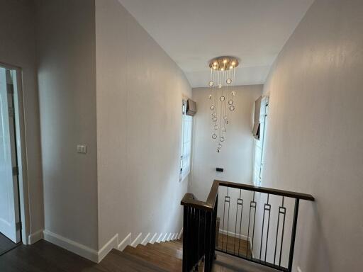 Modern staircase with contemporary chandelier