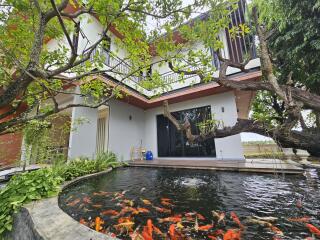 Modern house with koi pond in the garden