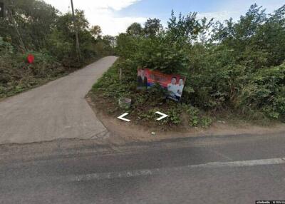 Road intersection with vegetation