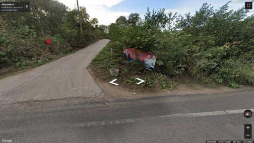 Rural road with greenery and road sign