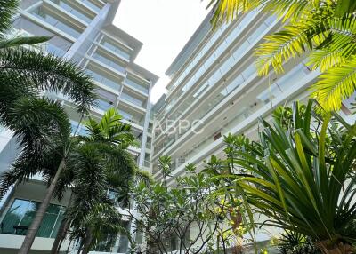 Modern Spacious 1 Bedroom in Sunset Boulevard 1