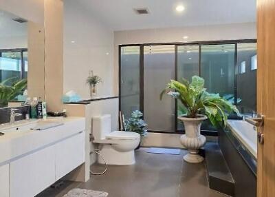 Modern bathroom with large mirror, plants, and natural light