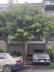 Front view of building with cars and tree