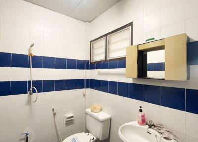 Bathroom with blue and white tiles