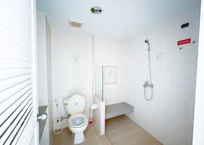 Clean and modern bathroom with shower and toilet