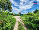 Vacant land with lush greenery and a clear sky