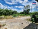 Empty land with greenery and clear skies