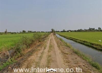 Dirt road through a green field with a canal on one side