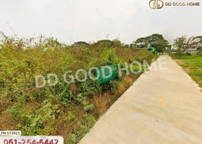 Vacant land plot with a concrete pathway and greenery