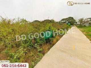 Vacant land plot with a concrete pathway and greenery