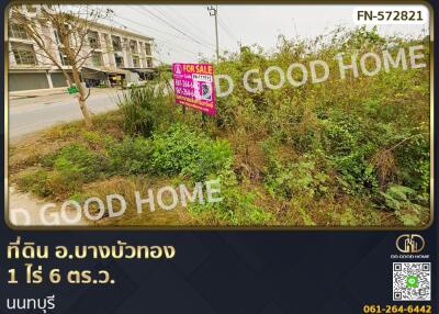 Land for sale with overgrown vegetation near a main road.