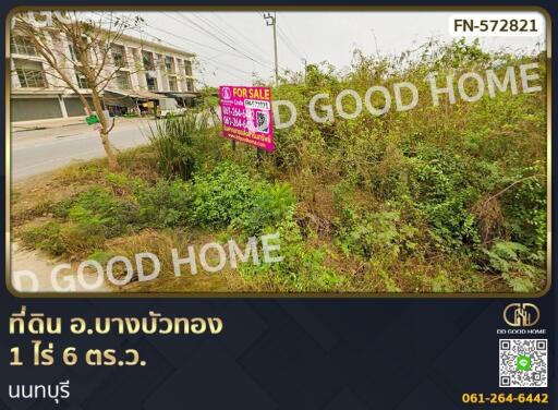 Land for sale with overgrown vegetation near a main road.