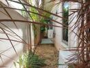 Narrow outdoor walkway with plants and air conditioning units