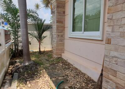 Side yard with stone pathway and palm tree