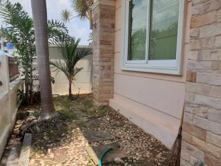 Side yard with stone pathway and palm tree