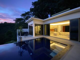 Modern house with a pool at dusk