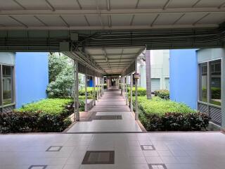 Covered walkway with surrounding greenery in a residential building