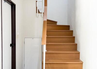Wooden staircase in a modern home