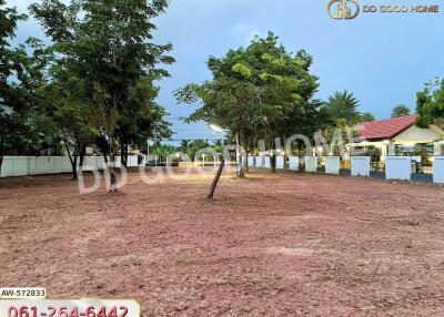Spacious outdoor plot with trees