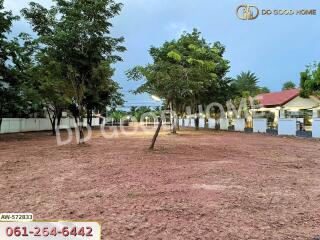 Spacious outdoor plot with trees