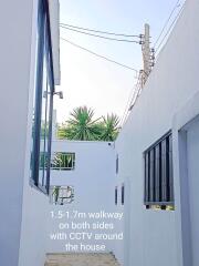 Walkway between buildings with windows and plants