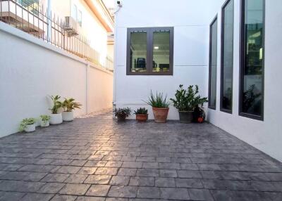 Paved courtyard with potted plants