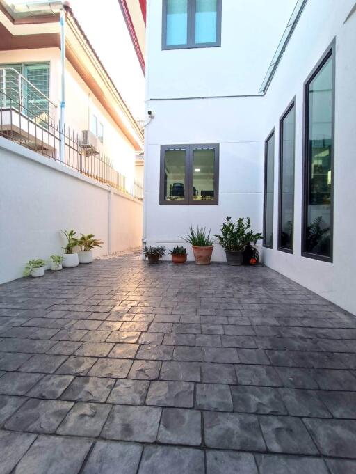 Paved courtyard with potted plants