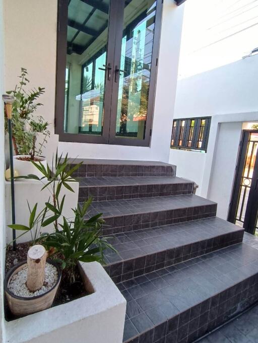 Front entrance with steps and plants