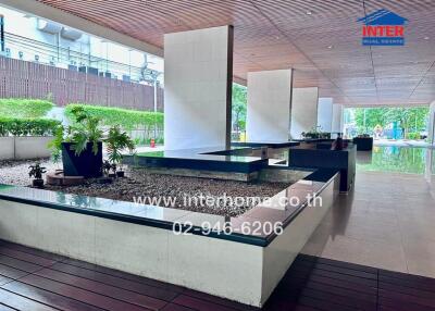 Modern communal area with plants and water features