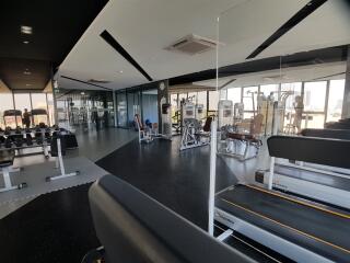 Modern gym with various exercise equipment and large windows