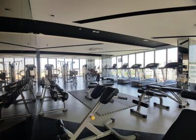 Well-equipped gym with various exercise machines and large windows