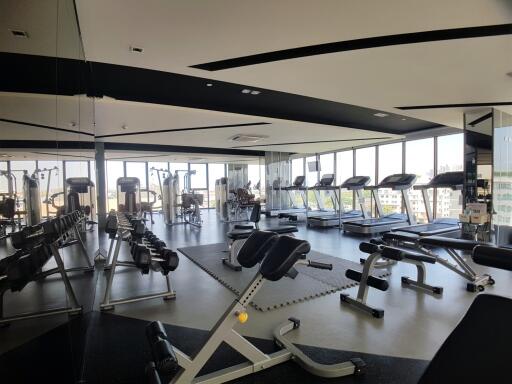 Well-equipped gym with various exercise machines and large windows