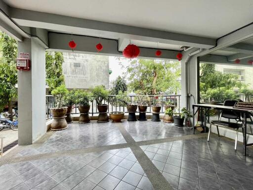 Outdoor patio area with potted plants