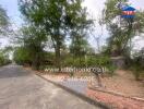 Street view with trees and greenery in a residential area