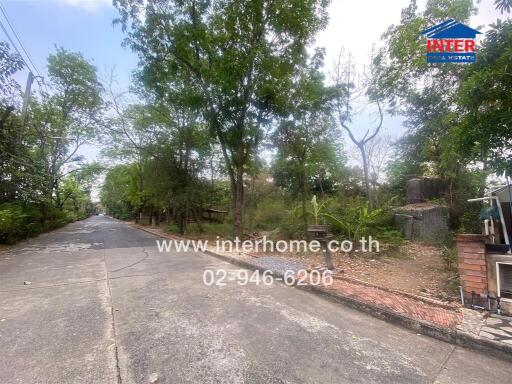 View of the street and surrounding greenery