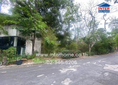 Street view of a property with surrounding trees and foliage