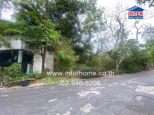 Street view of a property with surrounding trees and foliage